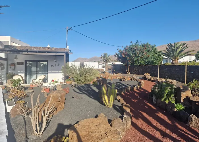 Con Terraza Y Jardín *